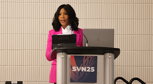 SVN Presenter